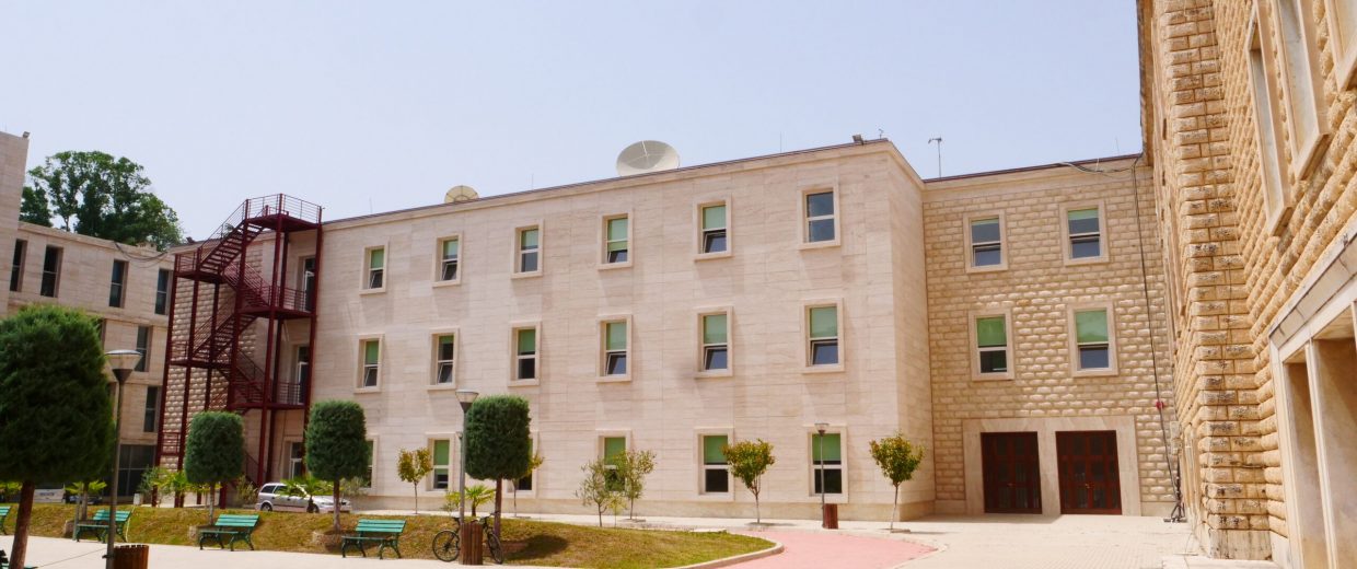 P1133511